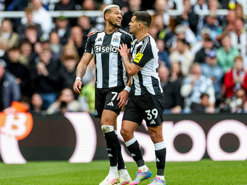 纽卡斯尔联客场失利，球队降级形势日益凶险的简单介绍